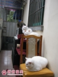 taobao english 16052824692