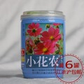 冲五钻 办公室防辐射迷你植物/新品小花农罐头花18款-易...