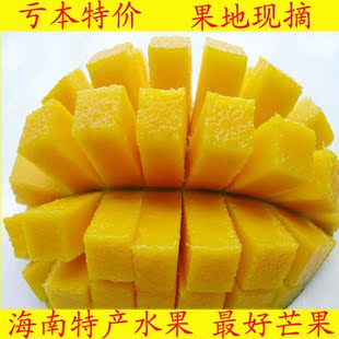  6斤 芒果搭配大全 新鲜水果(海南青芒香芒 贵妃金煌芒澳芒促销中