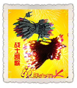  节能装饰彩灯 新年彩灯 节庆彩灯 串灯 满天星彩灯