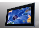 taobao english 3234689780