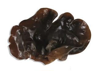  中国有机绿色食品专营 天地生 鲜木耳500g 新鲜蔬菜 北京满百包