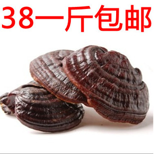  特价 东北特产长白山半野生紫灵芝茶 整枝 500g包邮