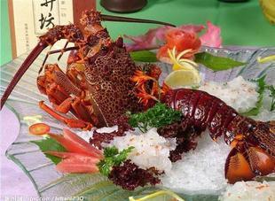  【京闽海鲜】水产品 活鲜 海鲜 澳洲龙虾 刺身最优 398/斤