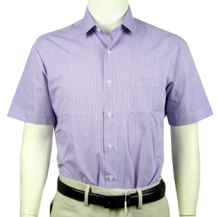  SNP13212-31■雅戈尔男装衬衣 免烫VNDP涤棉短袖衬衫 男士(3折)