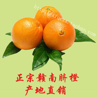  (橙橙)赣南脐橙 健康水果 赣南特产甜橙 新鲜橙子20斤精品果包邮