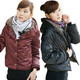 Աsuperbear_xuרƷֻۣ138.00