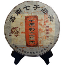 云南普洱茶饼 05年千年野生乔木古树生茶 特价特级掌柜推荐珍藏品