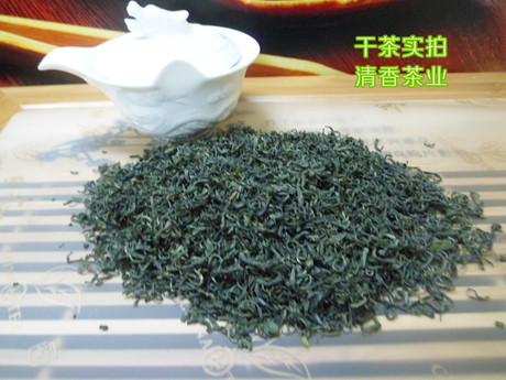 贵州茶叶的崛起与未来