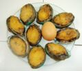 送礼佳品 速冻 鲜活 鲍鱼 88元(500克） 绝对超值!