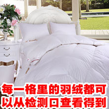 ѩ�� ����ĥë95%�׶��������ޱ����ޱ������ӼӺ��ؼ�ר����Ʒ