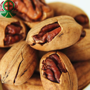  【昌化果】坚果特产 碧根果 长寿果 200g小包装 新货 特价