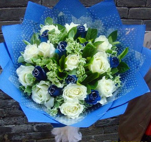 蓝色妖姬白玫瑰20朵 生日鲜花送男生朋友同事