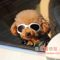 爆潮！日本cawaii宠物眼镜狗狗太阳眼镜犬用墨镜扮酷必备大狗有份