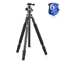 SIRUI 思锐 铝合金 R1004 稳定型三脚架 R-1004+G10 三角架套装