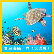 青岛旅游/青岛海底世界大通票/超低价格75元