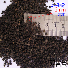 3-4龄蚕沙 散装蚕砂 蚕沙保健枕头 清凉吸汗 降压 防螨虫 2毫米大