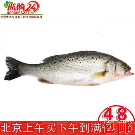 尚购24海鲜 网上买鱼 新鲜鱼 鲜活鲈鱼 1条1斤