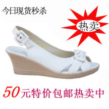 ��ܽ���и���ʿЬ 2012�Ŀ� ���Ȱ��� ����������¸����� Ů��Ь 