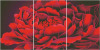 胡丽丽(胡丽丽)十字绣dmc套件富贵之花红牡丹三联画有3d5d精准印花印布
