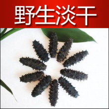 神龙岛 至尊淡干海参限量供应 品牌顶级海参 至尊野生 250克