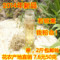 上下架计划:金银花茶 2014头茬最新平邑特级中药金银花 自晒无硫熏 2斤包邮
