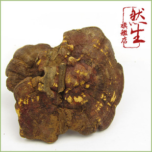  然生 云南纯野生赤芝 红灵芝 直径8-12cm