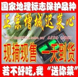 菜心|增城 特产 迟菜心|小楼之家|高脚 菜心 大王|菜心苗 包装箱