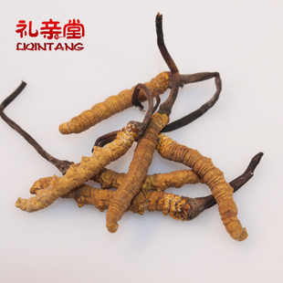  【礼亲堂】特级西藏那曲冬虫夏草新草虫草5-6条/克 5克装包邮