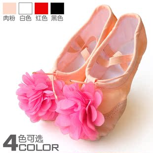  韩国热卖 儿童舞蹈鞋/帆布芭蕾鞋/女童猫爪练功鞋/成人拉丁舞童鞋