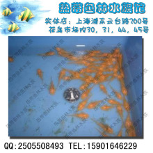 �ƽ����ӳ����ȴ��������С���������������ˮ������Ʒ
