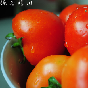  【绿谷碧川】农家种植番茄 西红柿 纯天然绿色蔬菜
