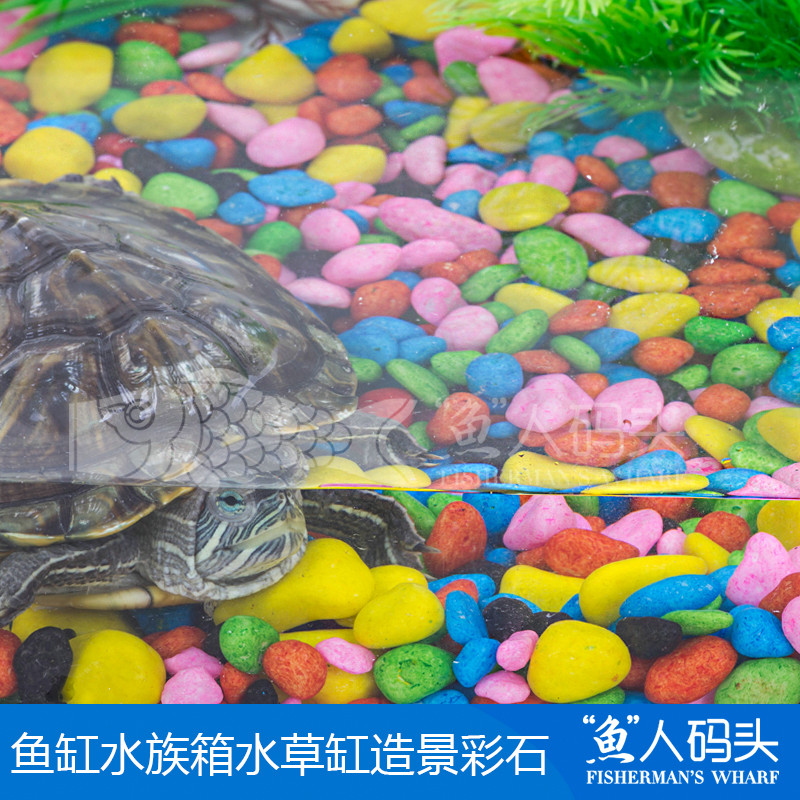 fish tank Aquarium Planted tank Landscaping Turtle tank bonsai Flower pot decorate Coloured Stone 2 Value Packin the Pet/Pet food and supplies , Aqua World , Aquarium fish tanks and other equipment , Landscaping/Decoration category - from Buy2taobao.com to provide professional Taobao agent buy service