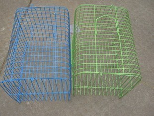 天族鼠 荷兰猪 豚鼠 猪猪运输笼子_淘宝网仓鼠类及其它小宠_正品_行货