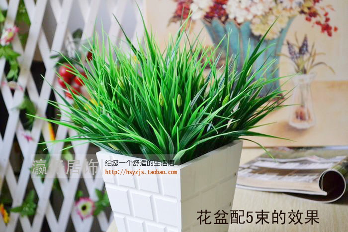 7叉7蕾春草仿真小草假花假草 田园盆栽家居摆设 仿真草仿真花在类目 家居饰品, 花瓶/花器/仿真花/仿真饰品, 仿真花/假花中 - 来自Buy2taobao.com提供专业的淘宝代购服务