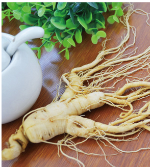 Changbai Mountain Ginseng Gen 6 white ginseng 80 Ke Shen Ke Northeast active ginseng Fresh ginsengin the Traditional nourishing food , Ginseng tonic , Ginseng/Garden ginseng category - from Buy2taobao.com to provide professional Taobao agent buy service