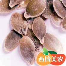西域美农新疆特产天生无壳生南瓜子 可炒制零食