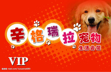 正版宠物店软件 宠物店管理软件 宠物管理软件 宠物软件