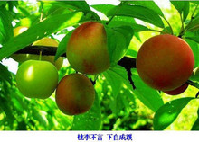 2013年MBA  MPA MPACC私塾堂特色辅导班+2012年MBA联考教材