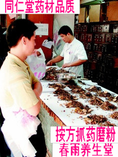  实体店中药材批发 按方抓药磨粉 同仁堂品质中草药材繁缕草专卖