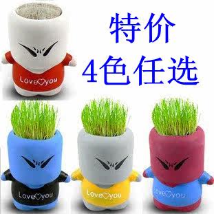 正品特价 淘气郎 青草种植 办公室家庭迷你植物盆栽盆景 好礼品