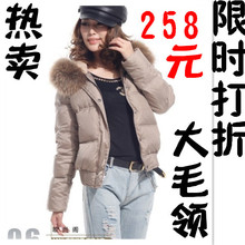 2011冬艾莱依修身短款戴帽羽绒服童佳倩同款女士大码外套