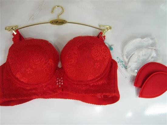 【<em>露诗媚 文胸</em> 正品】最新排行榜_jiaxie144_新