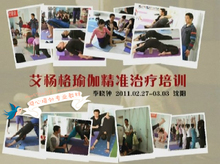 特大容量2011沈阳 李晓钟艾杨格瑜伽核心培训 5天(附现场录音)DVD