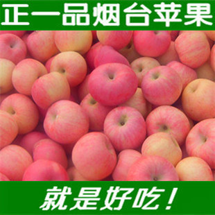  山东特产苹果水果新鲜烟台红富士苹果7省包邮 一级果甜脆爽口12斤