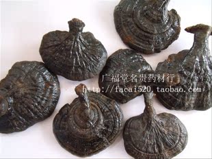 100%纯野生黑灵芝 反柄紫灵芝 野生灵芝 促销价100克28元