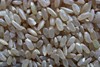 东北农家五常稻花香糙米，自家粗粮五谷杂粮粳米，胚芽米发芽糙米
