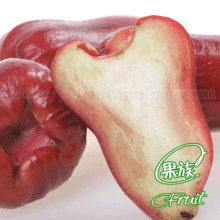 Cfruit C果族 新鲜水果 正宗台湾新品种极品蜜风铃莲雾 3斤装