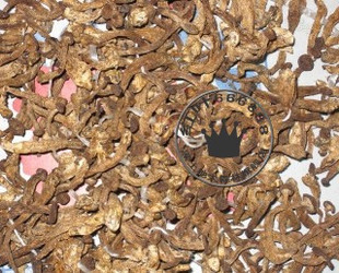  纯野生毛尖蘑 250克 金矿上长出的金娃娃 菇圣蘑菇 大兴安岭干货