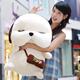毛绒玩具正版韩国《my girl》Dung情侣狗流浪狗流氓狗狗公仔上市